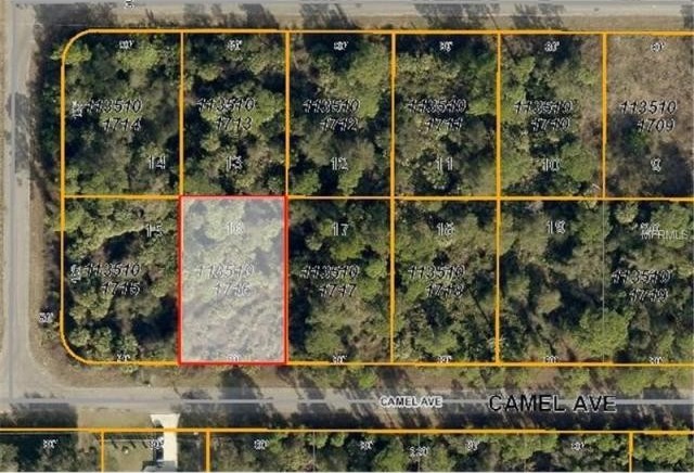 Land For Sale: Camel Ave, North Port.. - 2