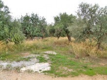 Crete Land For Sale Within Village..