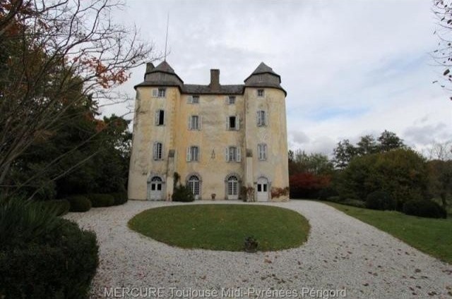 9 bedroom Castle For Sale: 65000 TARBES