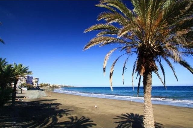 Apartment for sale and for rent in San..