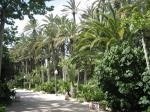 Apartment, Alicante (Costa Blanca)..