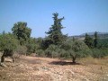 Building Plot For Sale In Quiet Area -.. - 2