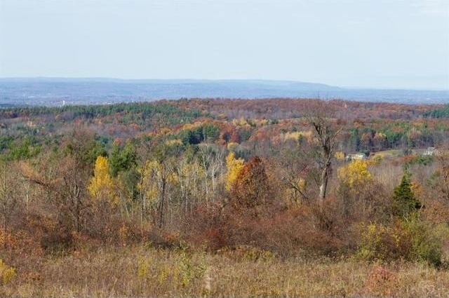 Land For Sale: Claverack, New York - 2