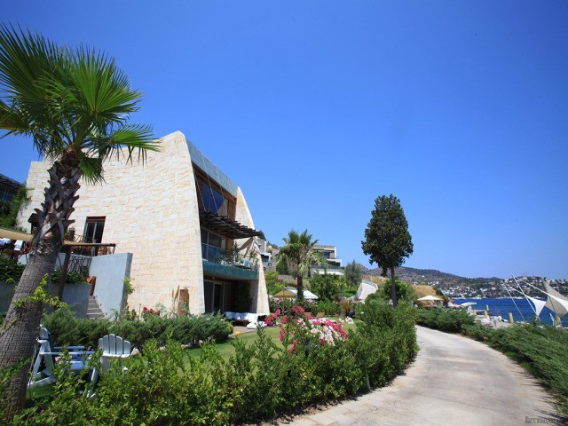 Luxury Golturkbuku Apartments