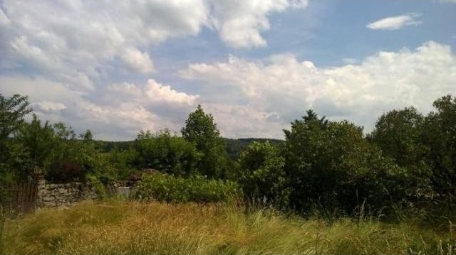 (LA ROCHE) - 2