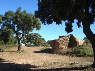 For Sale: Plot In Central Algarve..