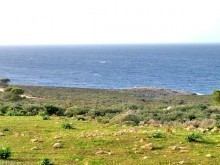 Property By The Sea