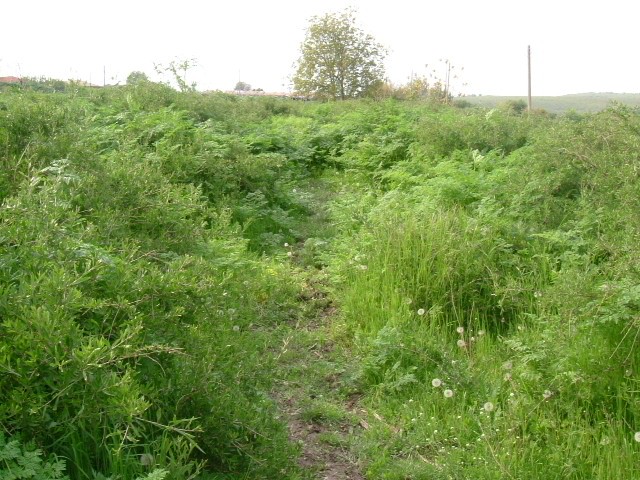 Land in Dryanovets, Dobrich - 2