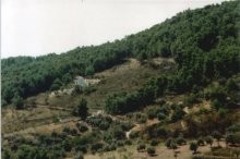 Real Estate Alonissos Greece - 2