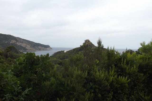 Building land with sea views