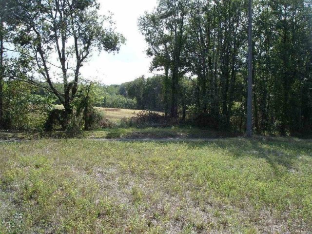 25249 - Vente - Terrain - Vergt - 2
