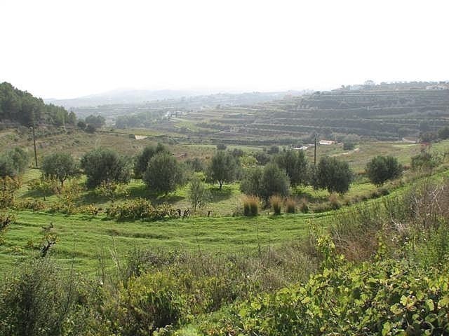 Land - For Sale