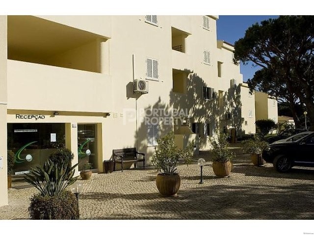 Luxury 1 Bedroom Apartment - 2