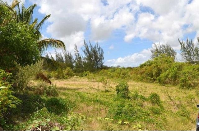 Property For Sale: Campaign Tenantry..