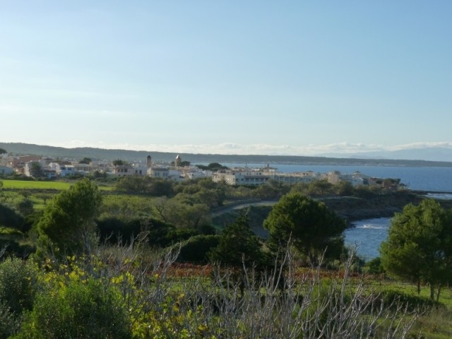 Building Plot frontline Colonia Sant.. - 2
