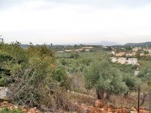 Land Property In Crete For Sale - 2