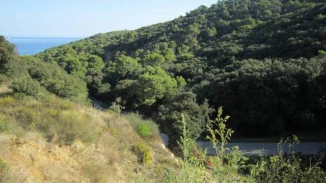 PLOT WITH SEA VIEWS IN BEGUR - 2