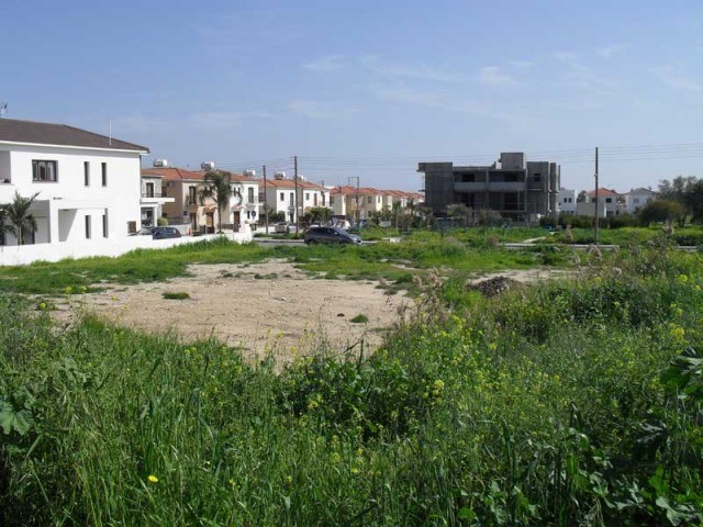 Larnaca