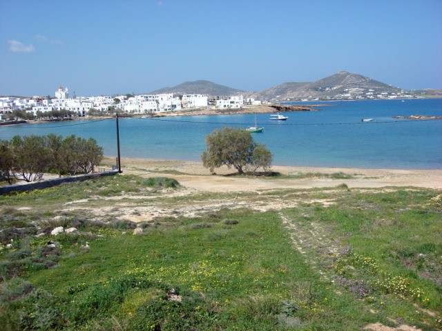 Beachfront Land Plot