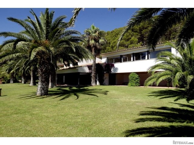 Property with 17.000m2 of land just 200.. - 2
