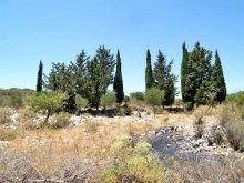 Big Land In Crete For Sale - 2
