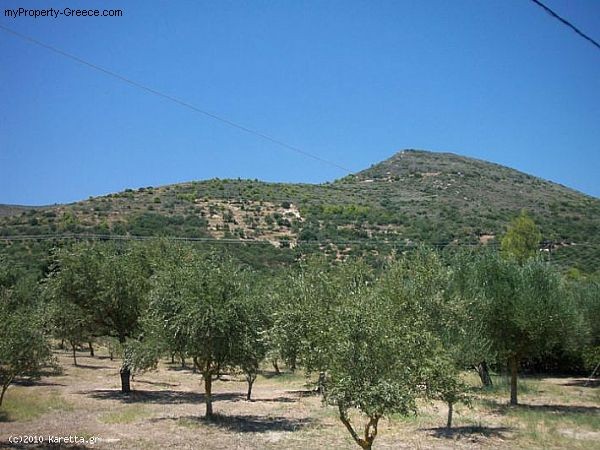 Land - Zakynthos - For Sale