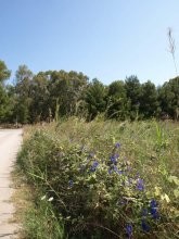 Crete Property - 2
