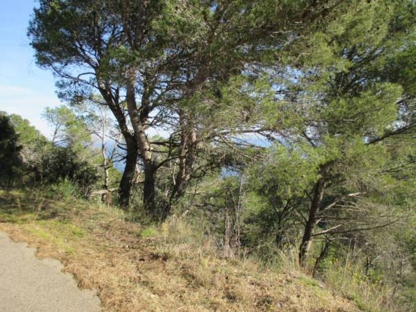 PLOT IN BEGUR - 2