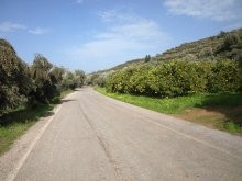 Land For Sale In Crete - 2