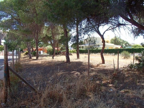 Plot - Quarteira - 2