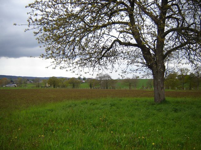 Four Bedroom Country House Le Mesnil.. - 2