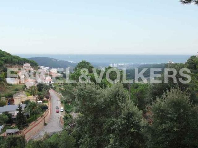 Living surrounded by nature, Barcelona.. - 2