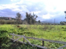 Wonderful Rural Setting: Building Plot..