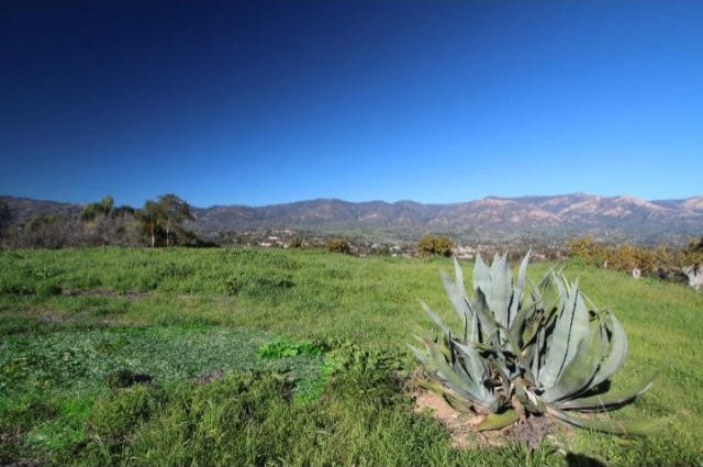 Land For Sale: 644 Via Trepadora, Santa..