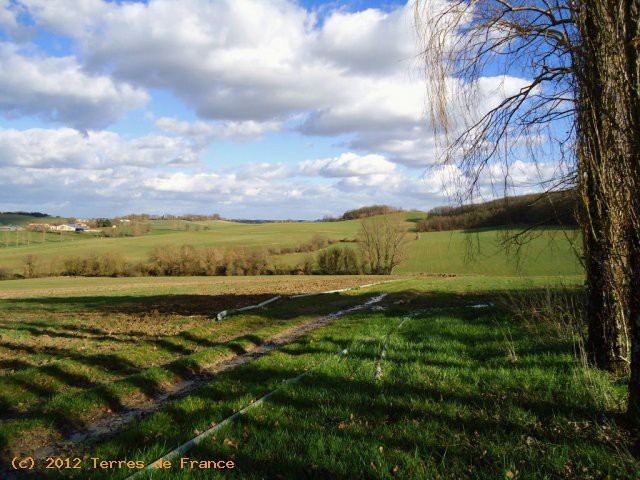 Ensemble Of 2 Houses And Gite Blaziert.. - 2