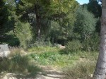 - Land - For Sale
