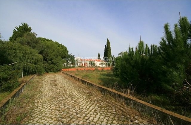 Plot to Build Near Vale do lobo - 2