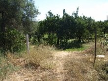 Land Property For Sale In Crete - 2