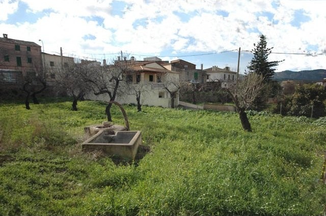 Plot - Calvia