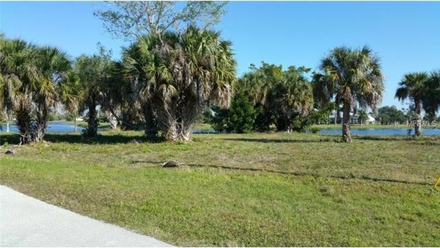 Land For Sale: 24310 Saragossa Ln.. - 2