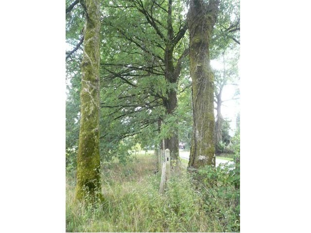 Building Plot In The Limousin Area - 2