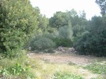 - Land - For Sale - 2