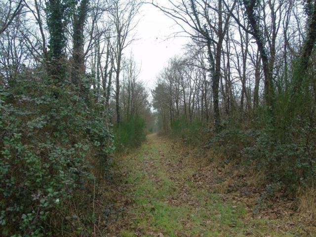 Land For Sale: 37290 LIMITE.. - 2