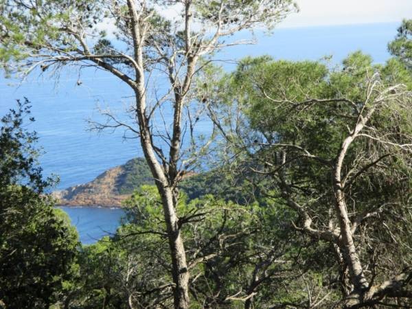 PLOT IN BEGUR