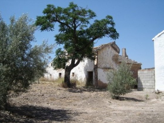 Finca with land