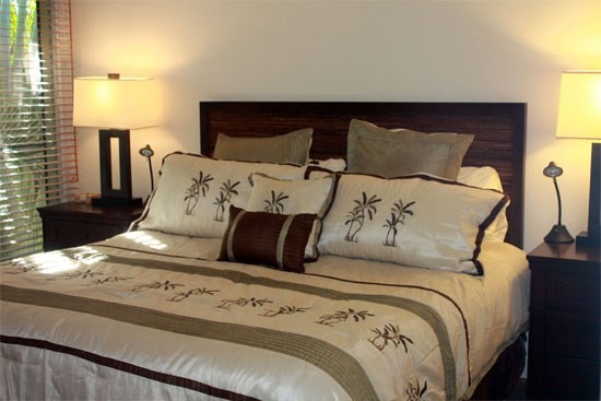 Aina Nalu Condo D210