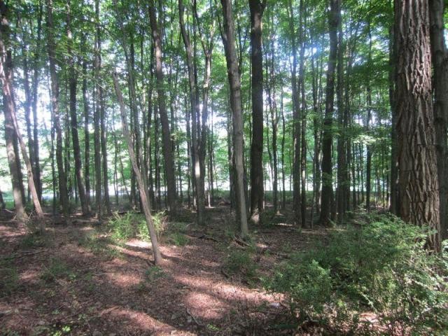 Land For Sale: 74 ROXITICUS RD