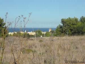 Colonia de San Pedro, urban plots ideal..