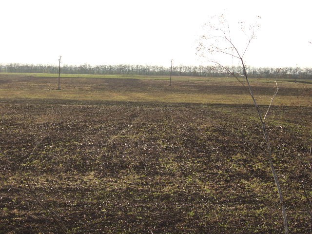 Land in Sveti Nikola, Kavarna - 2