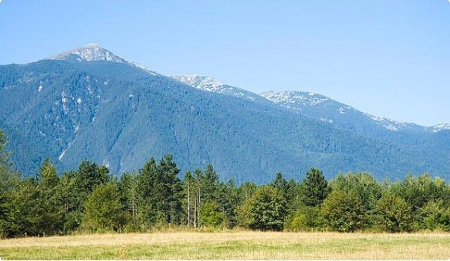 Land in Bansko, Albena